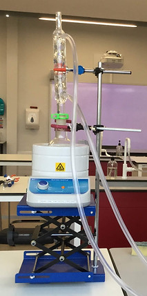 D491C449-EEDC-4023-8F10-70D5793491A5.jpe