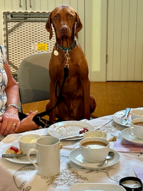 IMG_6932 - Copy.HEIC