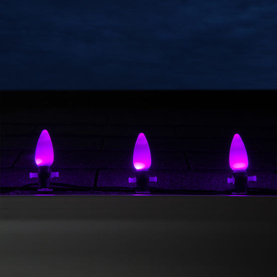 Thumbnail: C9 Purple Opticore TM Commercial LED Halloween Lights