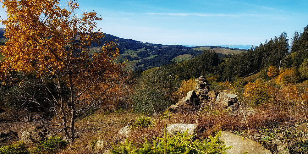 Ça sert à quoi l'automne?