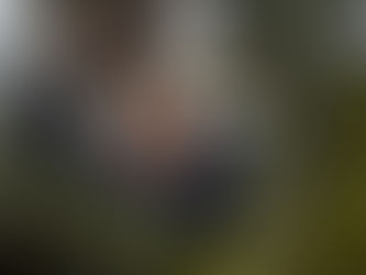 On pense déjà au printemps et aux petites fleurs...