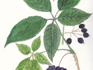 Pour tenir le coup... jusqu'au bout!