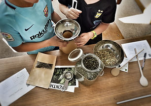 20190626_105732-02 (002).jpeg