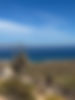 IMG_0845.JPEG