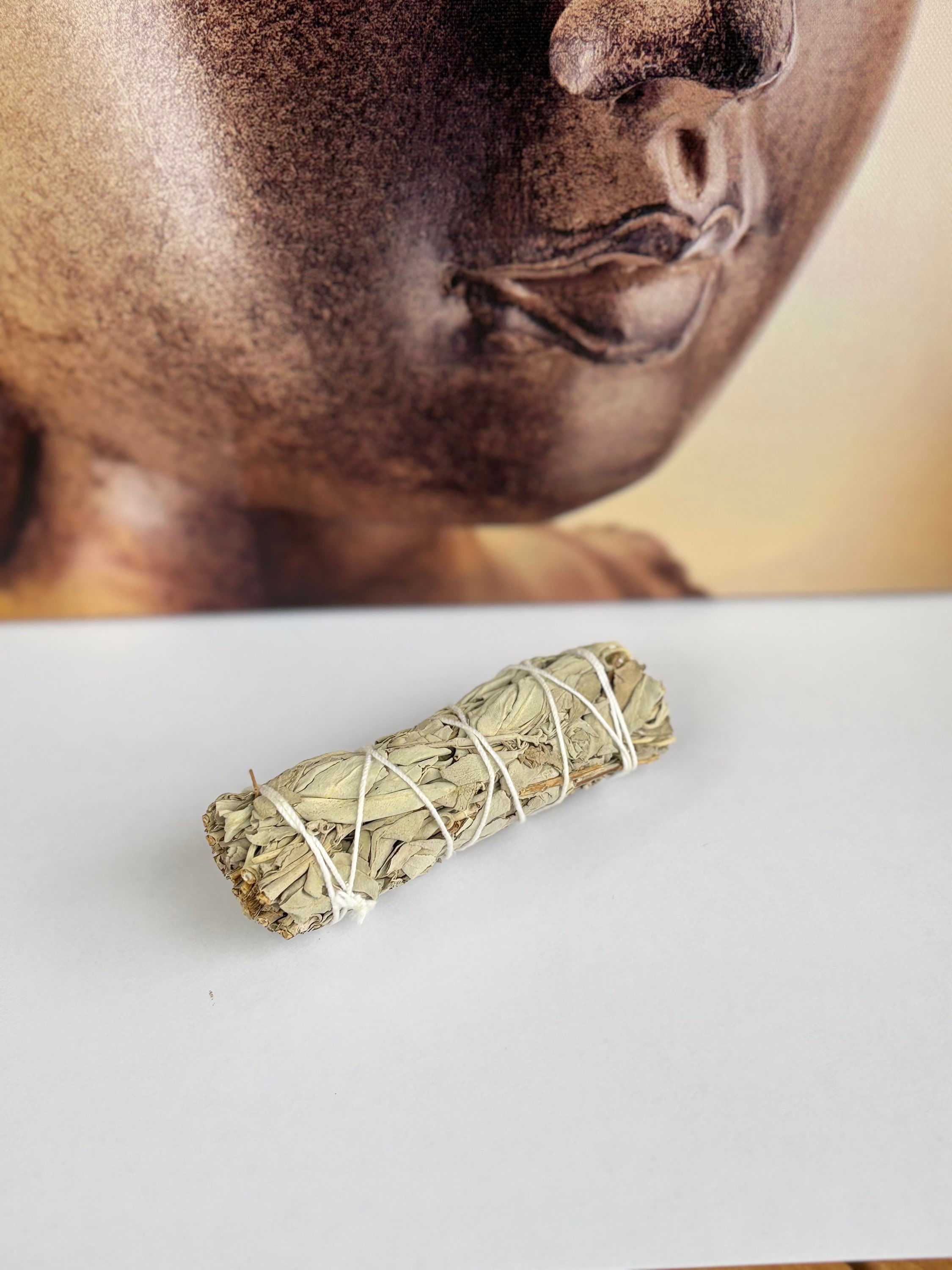 Bouquet sauge blanche