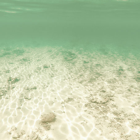 Cancellation & Refund Policy