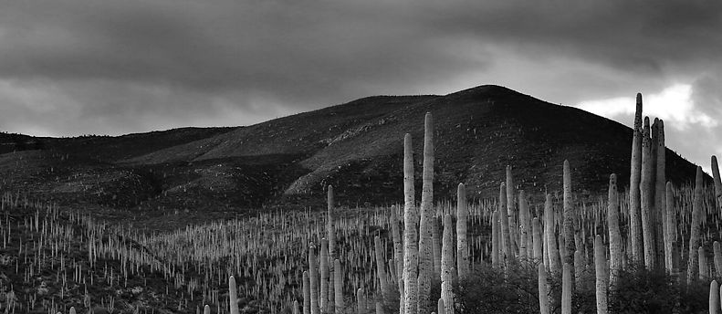 Desert Views_edited.jpg
