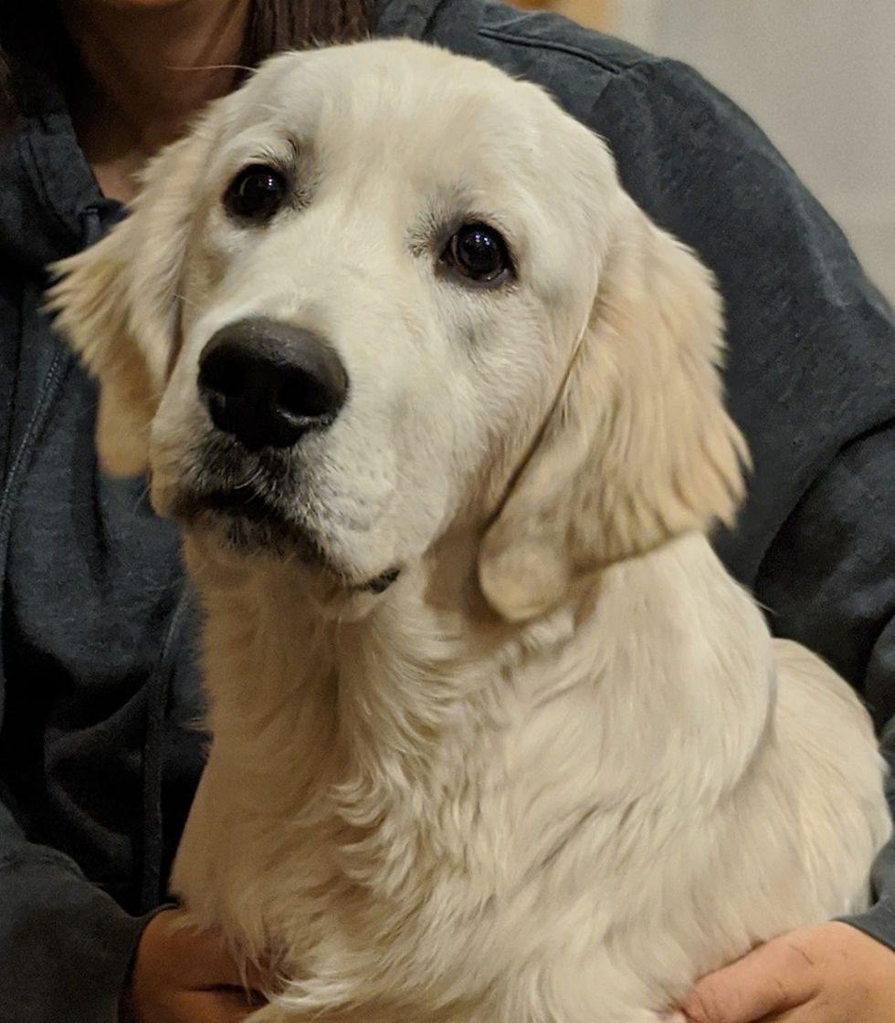 Indy 5 months