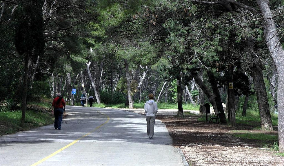A must-see in Split: Marjan park-hill