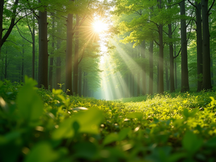 The Importance of Sustainable Living in Today's World