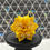 Thumbnail: Kusudama XSmall