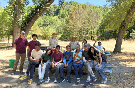 Reinhardt Redwood Regional Park habitat conservancy & invasive plant removal - Oakland, CA