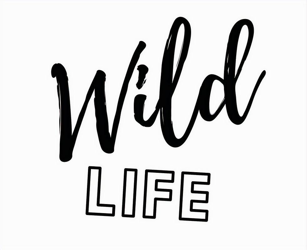 Kopie von Wild Life Bär - 4_edited.png