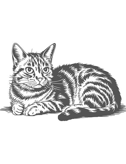Untitled design-17.png