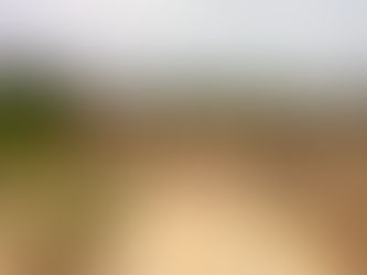 Bringing the community together - food security is in the best interest of the child .