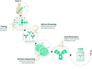 AbDirect: protein-centric antibody discovery by mass spectrometry