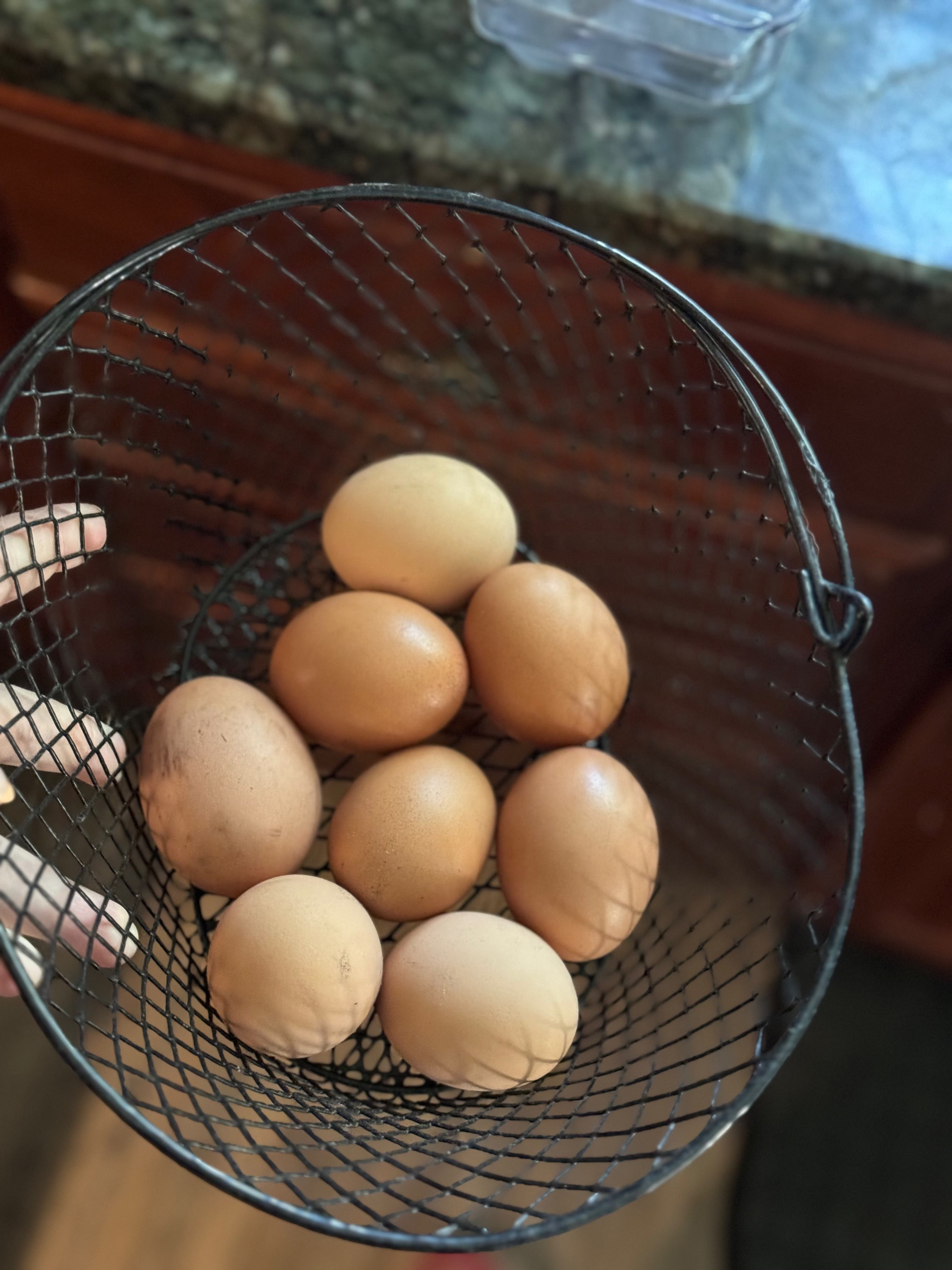 Farm Fresh Chicken Eggs