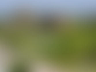 国公立大への道 - 広島県尾道市の場合