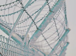 Pastoral Letter on Mass Detention.png