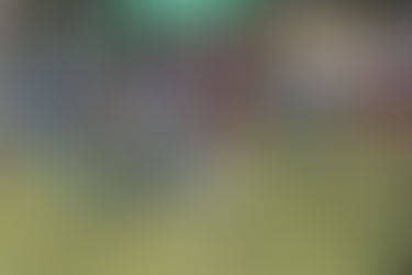 El Talento Joven del Tiro con Arco Se toma Medellín