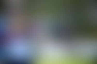 COLOMBIA ESTARÁ CON CUATRO ARQUEROS EN PARÍS 2024