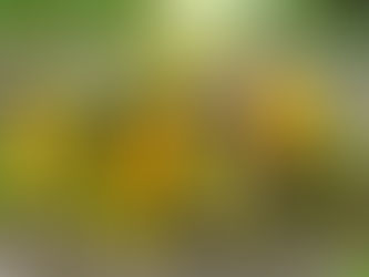 Custom memorial flowers with sunflowers