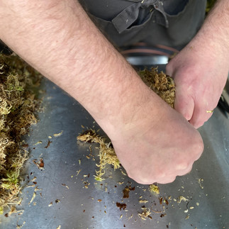 Hands tightening wire over moss on copper ring