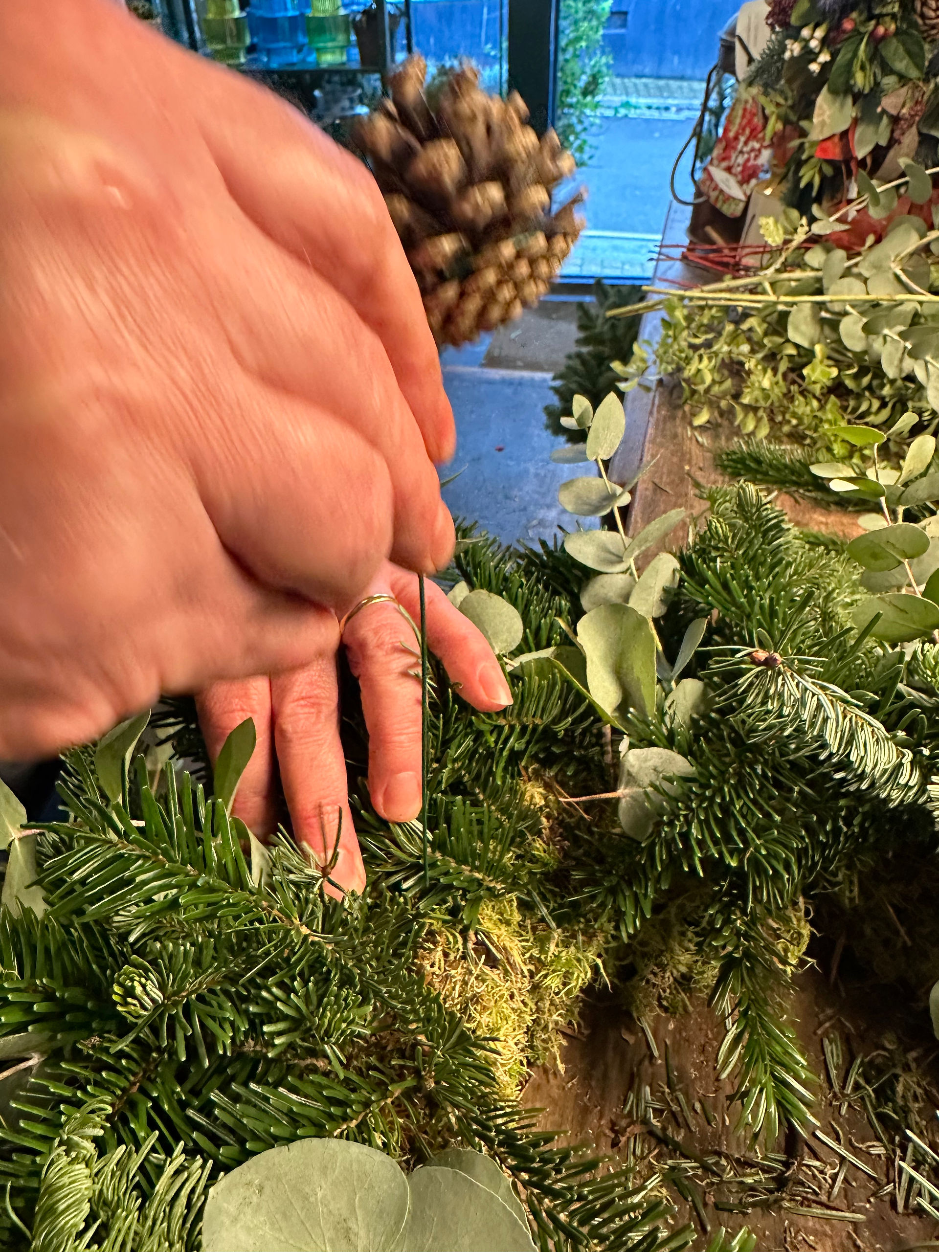 Fingers and wired pinecone