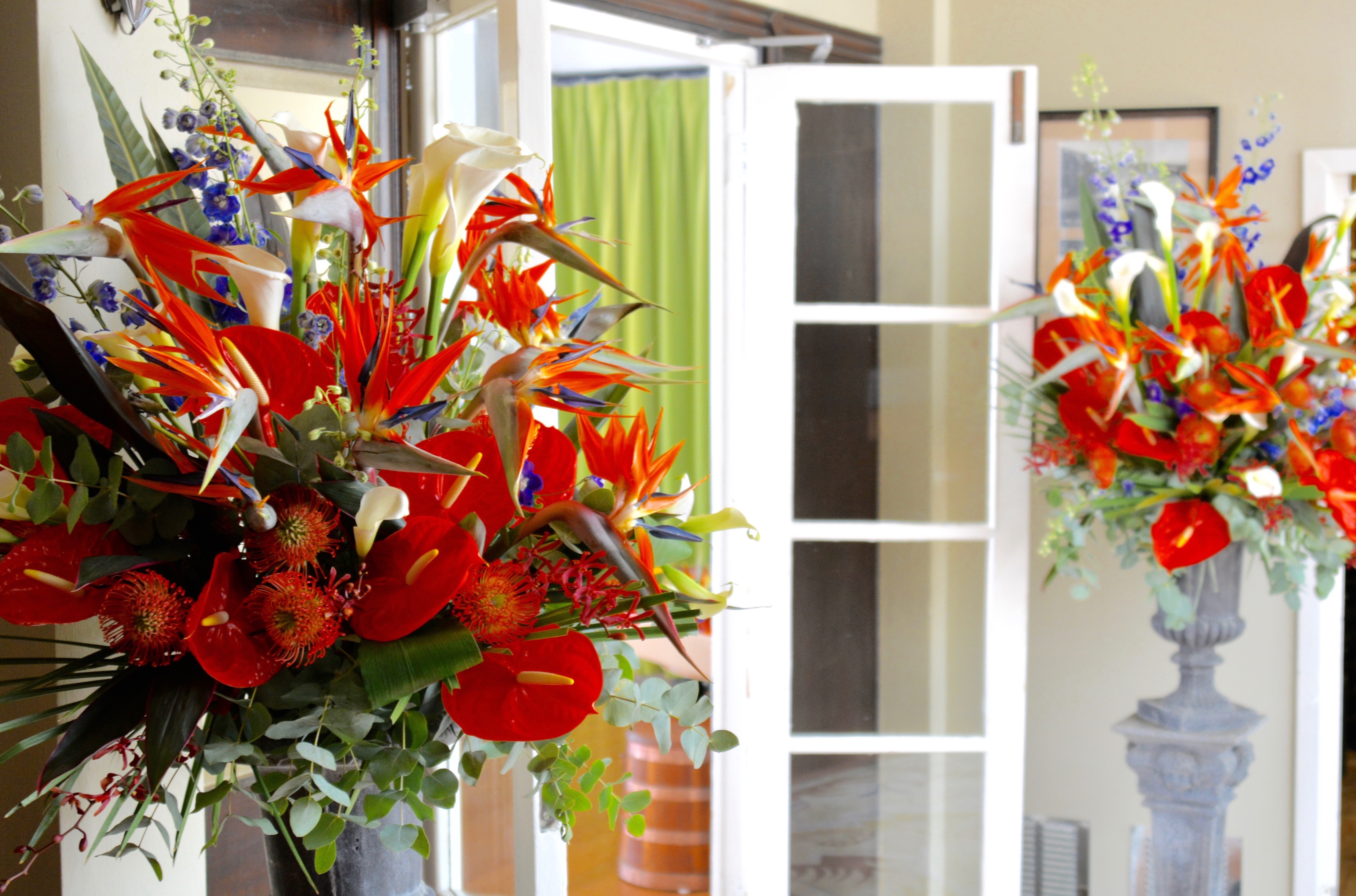 Tropical flowers