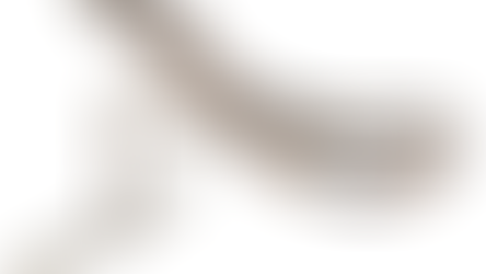 Tetraplégie flasque compliquant une aide instrumentale par forceps de tarnier