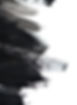 AdobeStock_119574493.jpeg