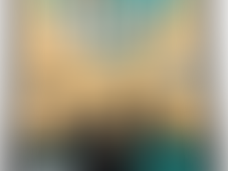 Qual o tipo de alimento ideal?