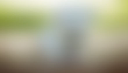 Como se organizar com a vacinação do seu filhote