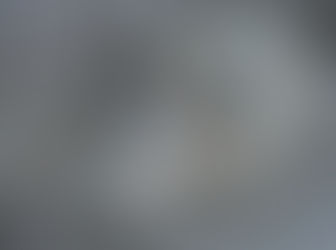 O QUE A PREFERÊNCIA ENTRE CÃES E GATOS PODE DIZER SOBRE SEUS TUTORES?