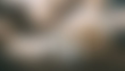 Como cuidar de um cãozinho com problemas de visão