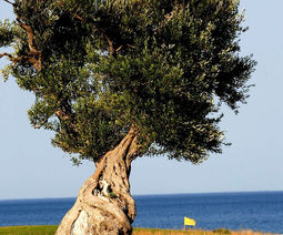 San Domenica Golf Course