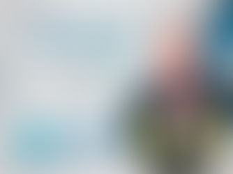 DO PADRÃO DE FORMAÇÃO PROFISSIONAL AO PROFISSIONAL QUE FORMA O PADRÃO: Uma leitura das ideias dos Coronéis da PMMG Klinger Sobreira de Almeida e Genedempsey Bicalho Cruz.