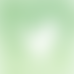 RECOMENDAÇÕES PARA A ATUAÇÃO DA POLÍCIA | José Olimpio - Drt.11