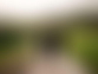 Should We Live in the Present and Not the Past?