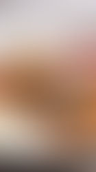 Una década de frescura: Campo Baja celebra su aniversario en CDMX.