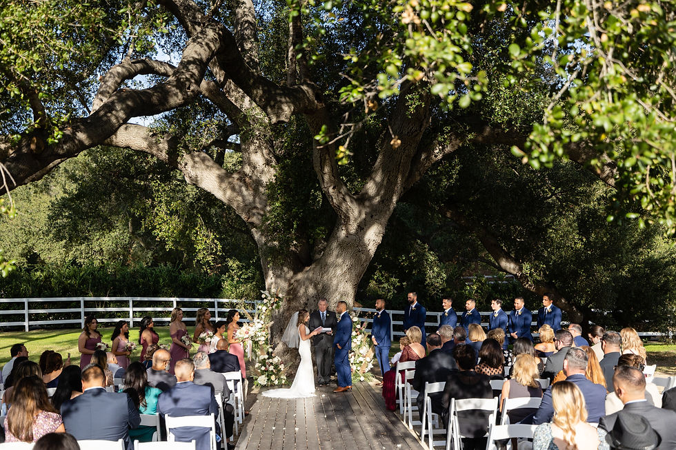 A timeless ceremony beneath a majestic oak tree, where love is shared, vows are spoken, and forever begins.
