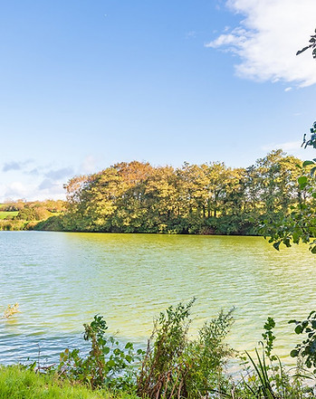 Lake1_Dee.jpg