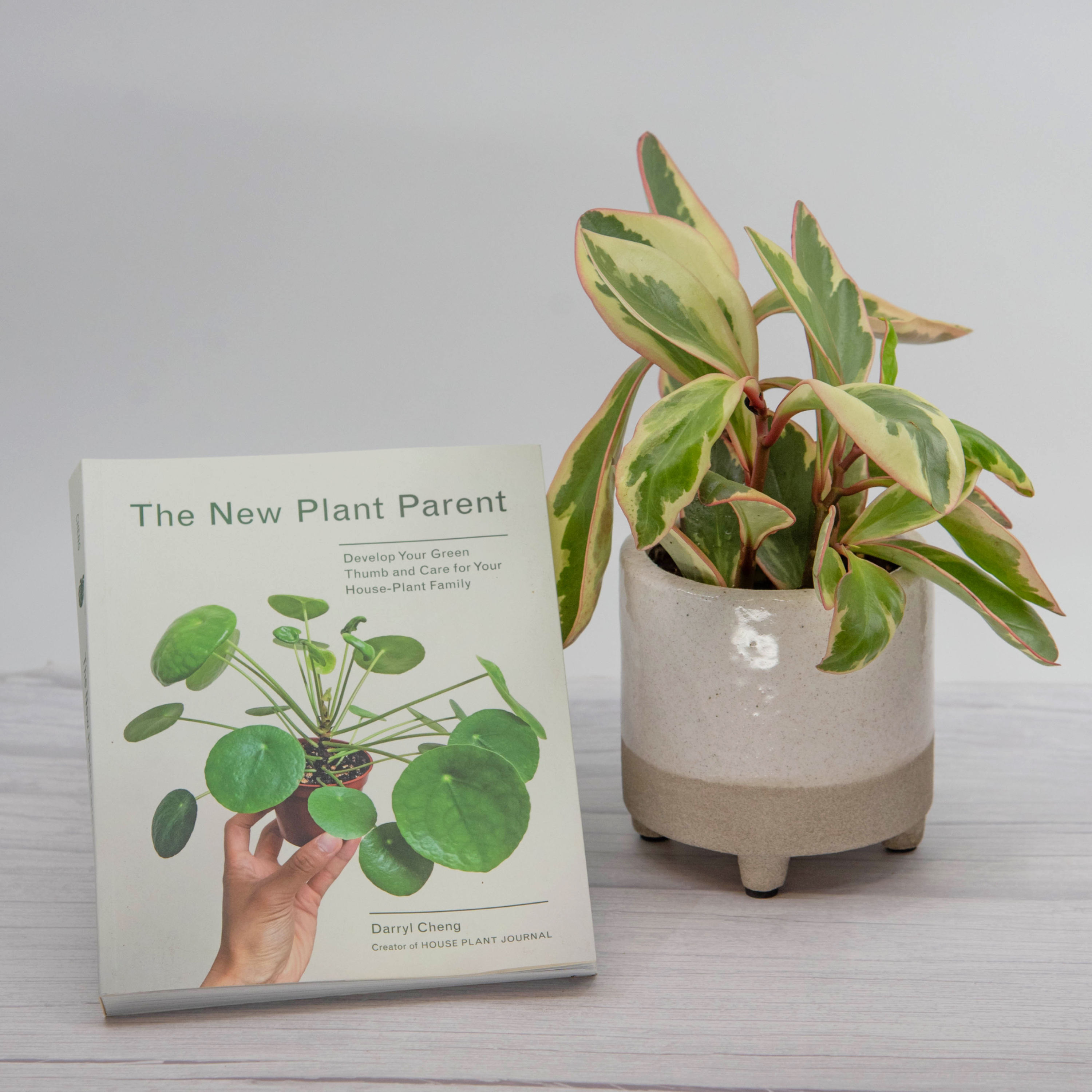 Plant Gift