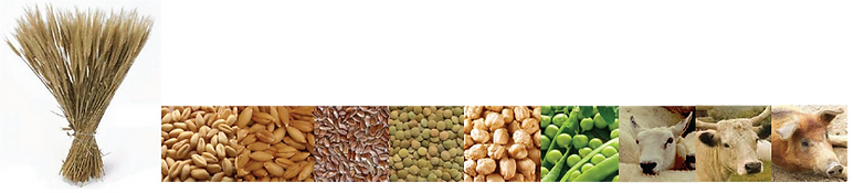 pleiadian gift of agriculture.png