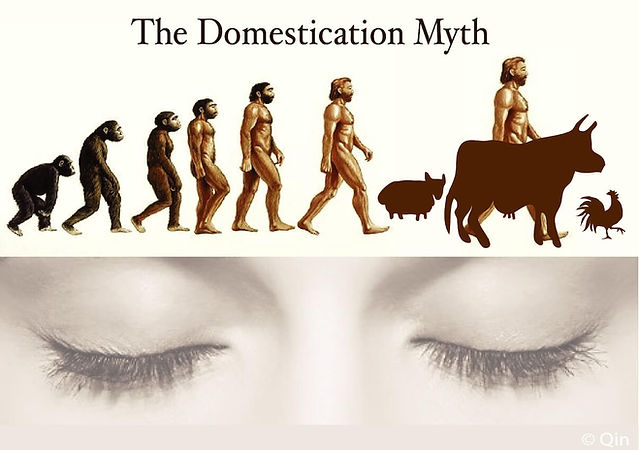 Domestication Myth.jpg