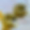 Miniatura: Aretes Fos