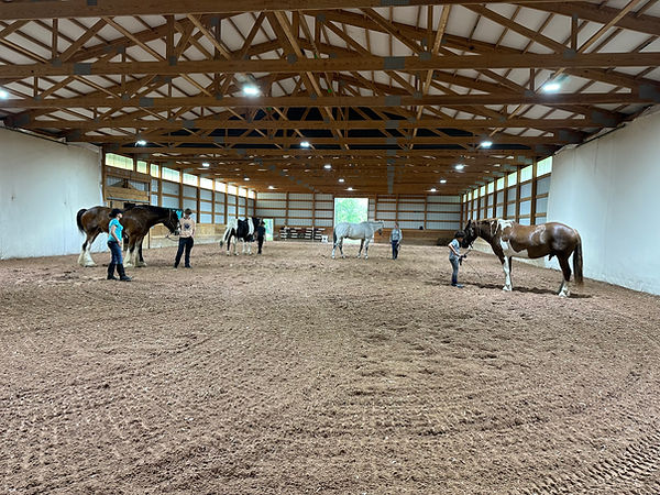 People and horses in an indoor riding arena