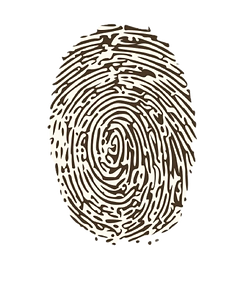 8b2e1dd5-671e-4e19-be7a-a76808dbfd8b-removebg-preview.png