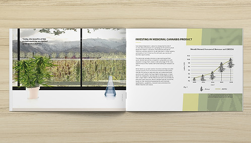 MNL Investor Prospectus Mock Up 3.jpg