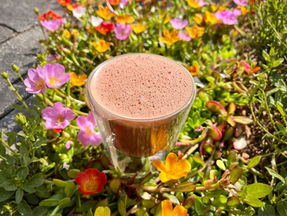 Een kopje ceremoniële cacao, mooie schuimlaag, tussen de bloemen in de tuin.